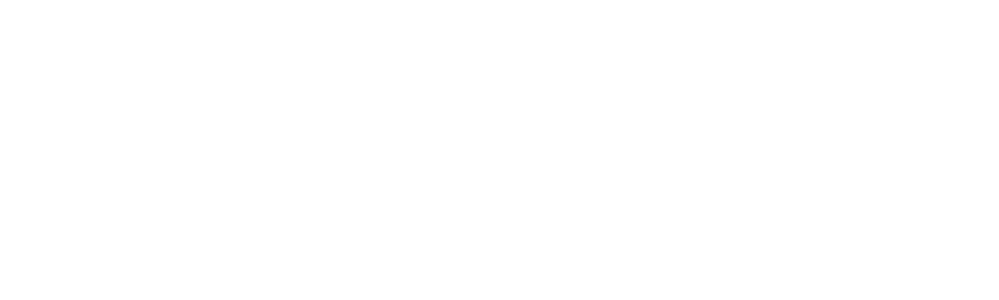 Dressler & Partner logo