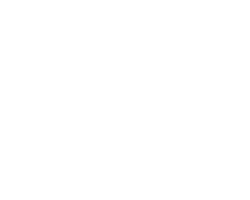 Fairline logo