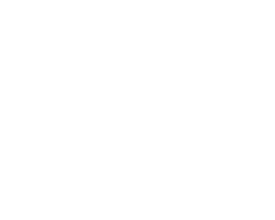 Gost logo