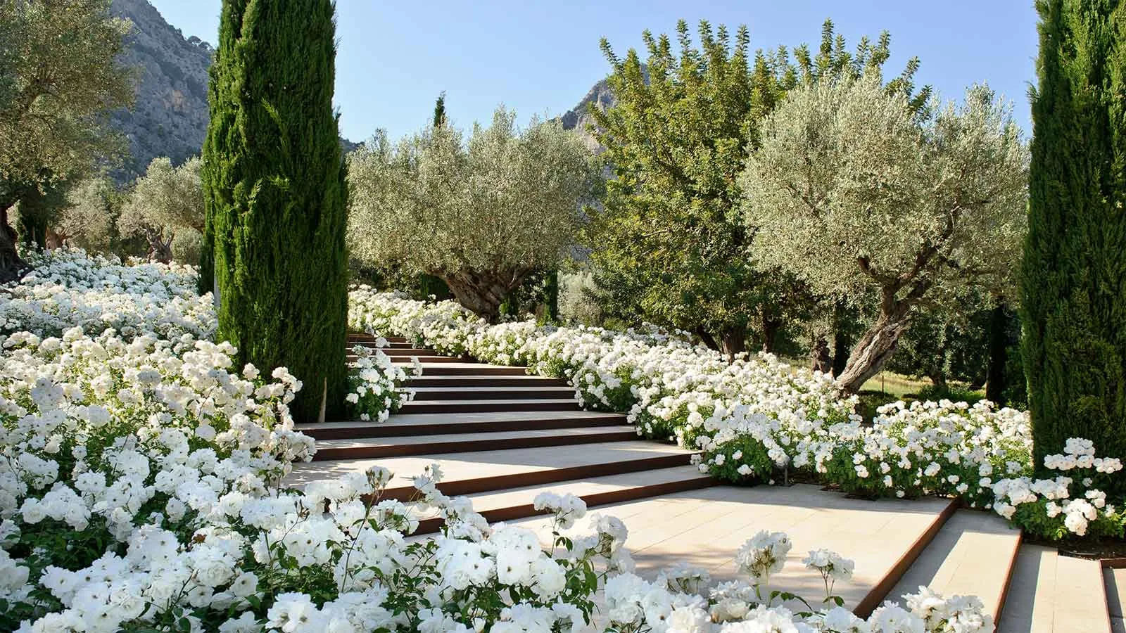 Jardins de tramuntana marketing Jardins de tramuntana marketing