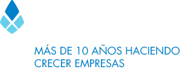 Rex4media, más de 10 años haciendo crecer empresas